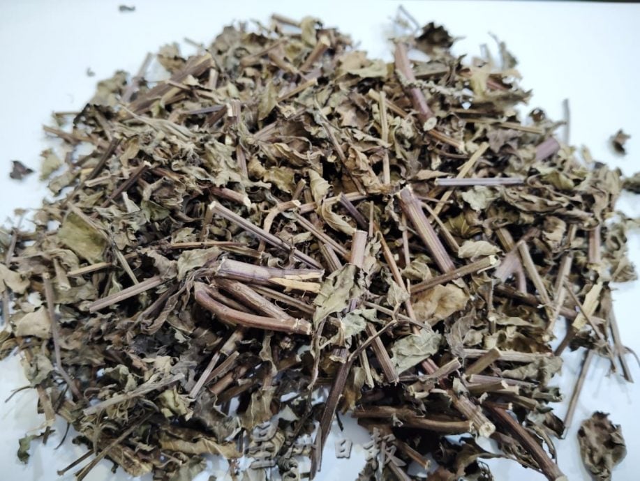 利丰港紫光阁重整草药园 盼继续守护社区健康