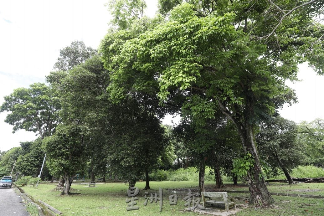 大都会/主文/巴生市厅拨40万改造河边路双溪2B路公园