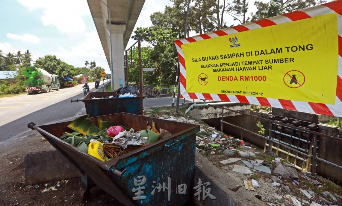 封面-大都会-跟进流浪狗课题/14图