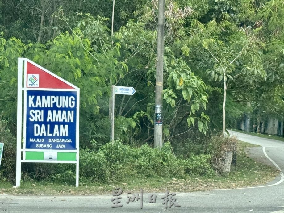 封面-大都会-跟进流浪狗课题/14图