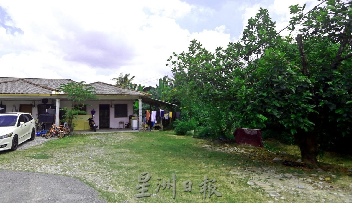 封面-大都会-跟进流浪狗课题/14图