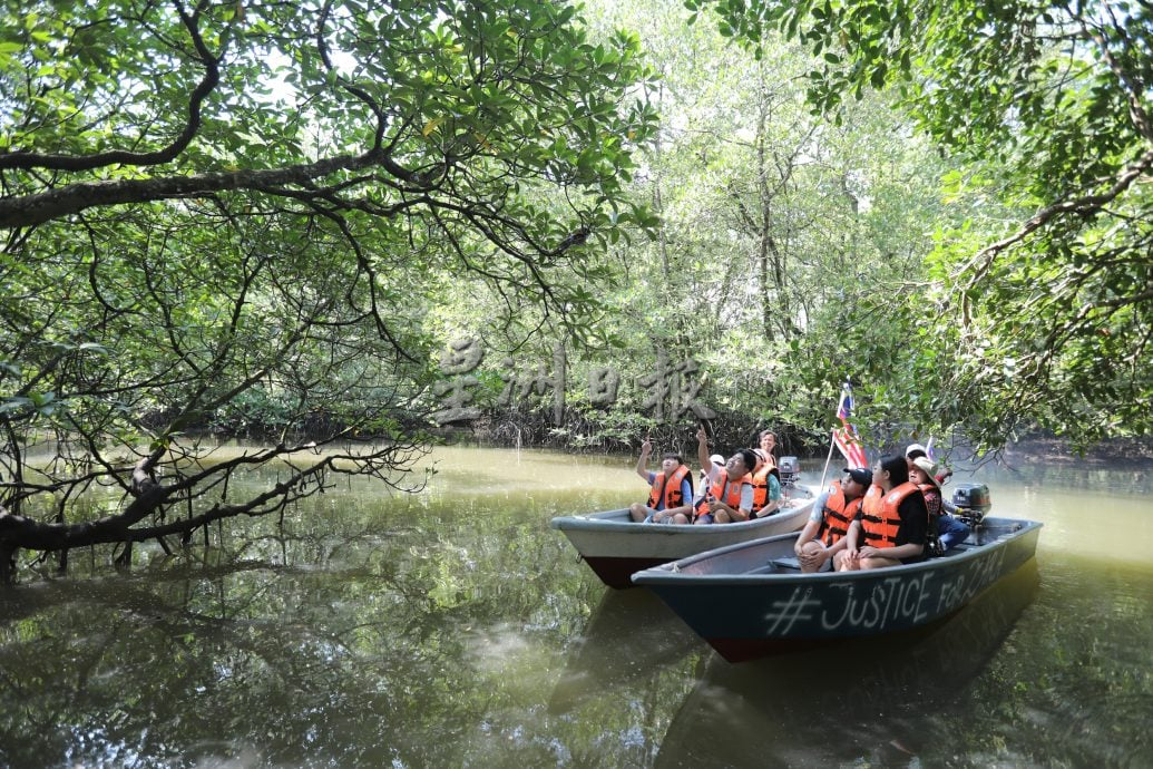 已签发 柔：封面：【特稿】新山城市风景少有红树林净土──甘榜双溪马来由周边