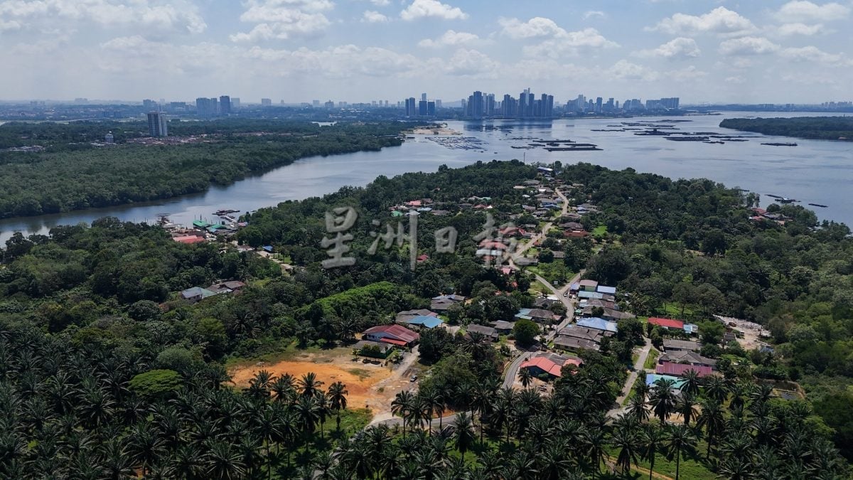 已签发 柔：封面：【特稿】新山城市风景少有红树林净土──甘榜双溪马来由周边