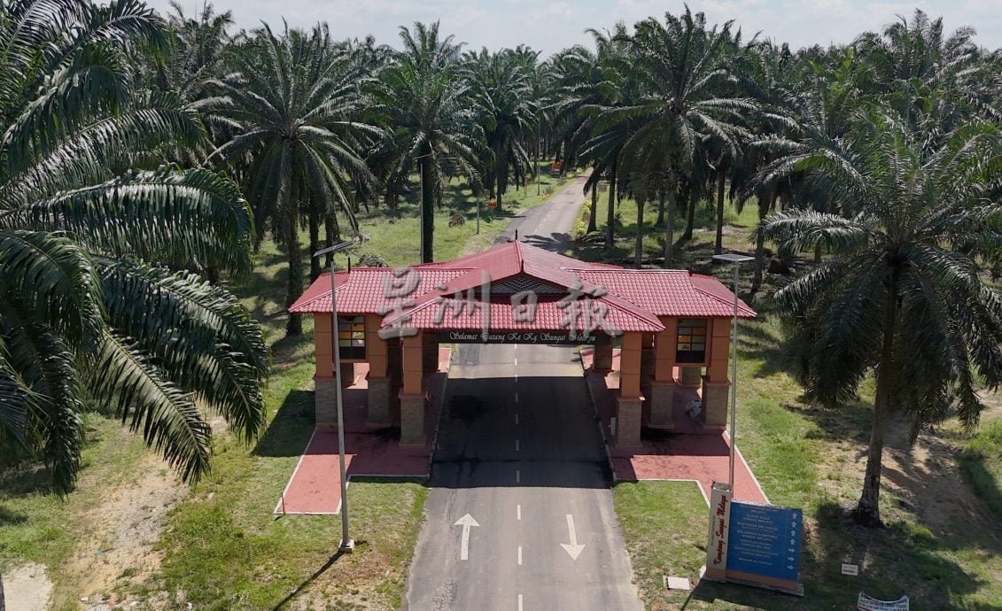 已签发 柔：封面：【特稿】新山城市风景少有红树林净土──甘榜双溪马来由周边