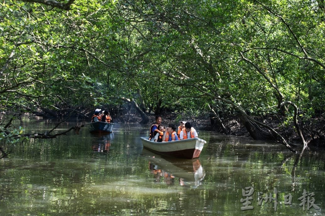 已签发 柔：封面：【特稿】新山城市风景少有红树林净土──甘榜双溪马来由周边
