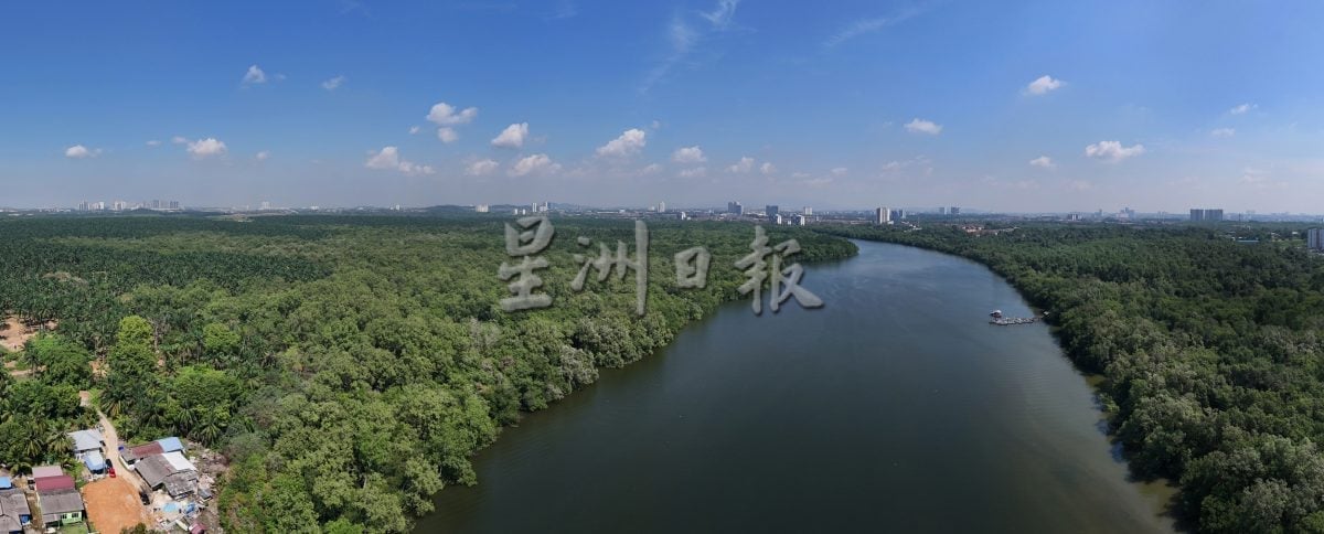 已签发 柔：封面：【特稿】新山城市风景少有红树林净土──甘榜双溪马来由周边