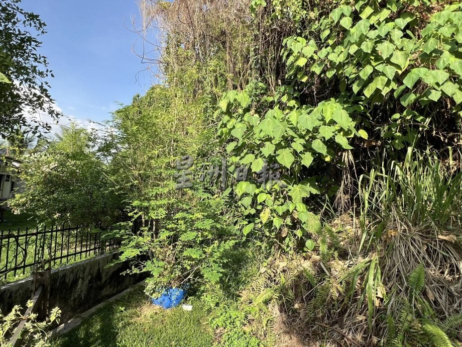 请签发-MZ04-大都会/山体滑坡树丛掩盖下竟藏一条路/3图