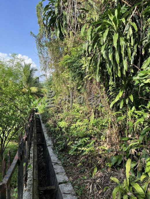 请签发-MZ04-大都会/山体滑坡树丛掩盖下竟藏一条路/3图