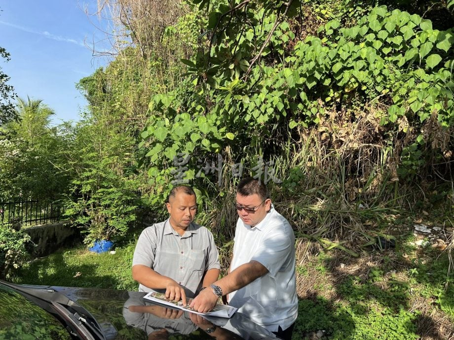 请签发-MZ04-大都会/山体滑坡树丛掩盖下竟藏一条路/3图