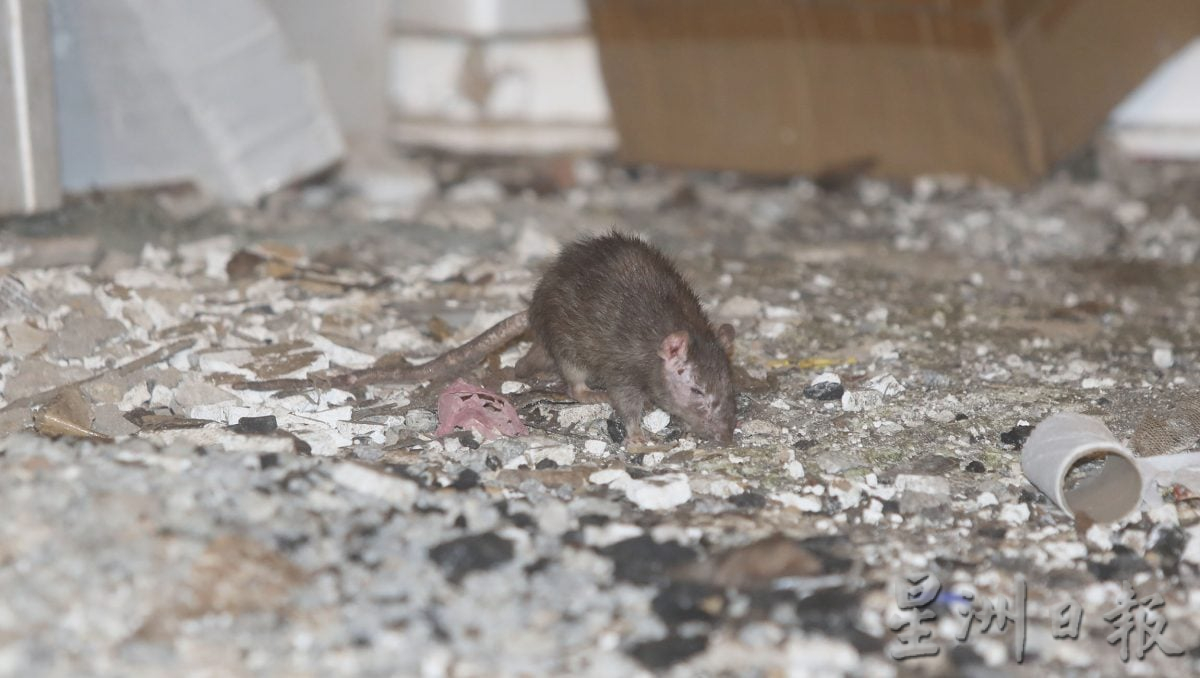 大都会/封面／薛富峰谈阿罗街垃圾问题／8图