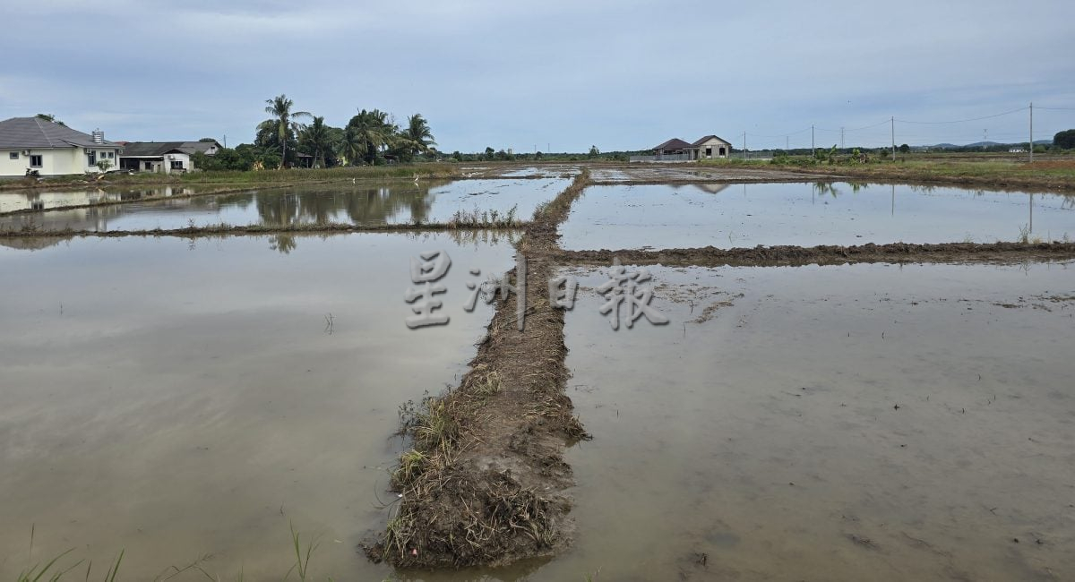 (古城封面副文)武吉南眉农田灌溉系统计划料2028年竣工