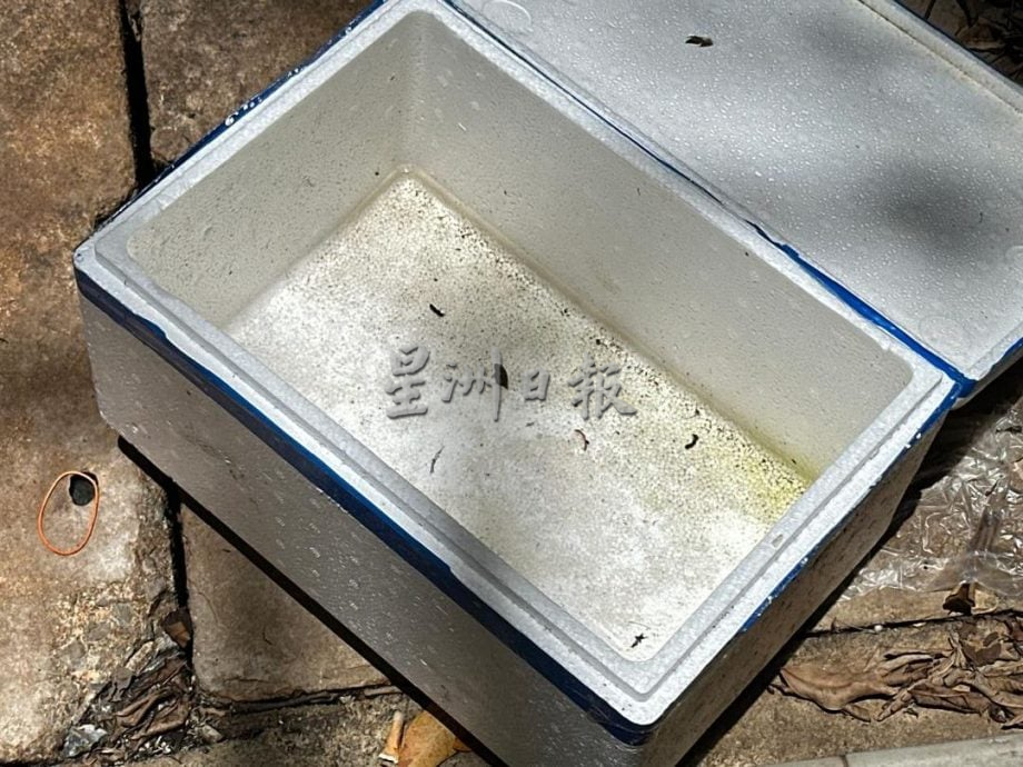 （古城第四版主文）峇章三角路后巷堆垃圾飘尿臭味