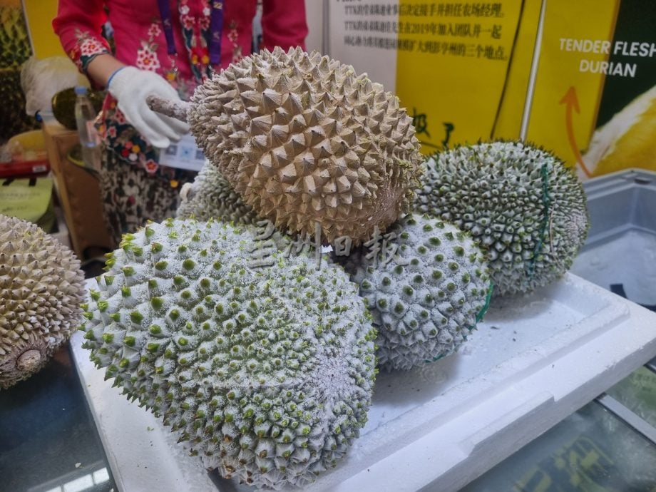 全国/18日下/东博会马来西亚馆 榴櫣 棕油冰淇淋受欢迎/6图/