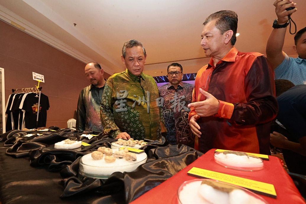 供星洲网：森大臣：波德申老港森林将兴建空中步道，料2027年竣工