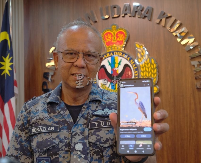 全(已签发):“大黄蜂”战机事故起因确定是鸟击