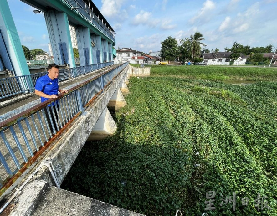 (古城封面主文)吉里望水闸门口成“绿色植物海”·民忧引发水灾
