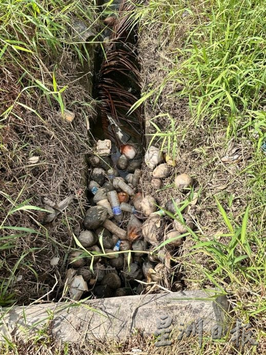 (古城封面主文)吉里望水闸门口成“绿色植物海”·民忧引发水灾