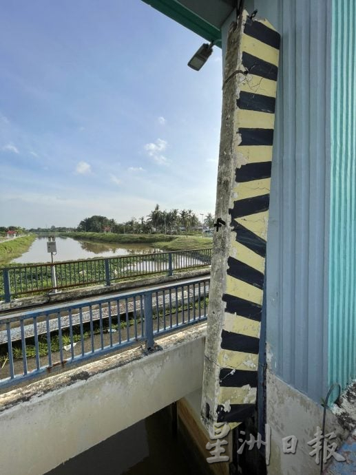 (古城封面主文)吉里望水闸门口成“绿色植物海”·民忧引发水灾