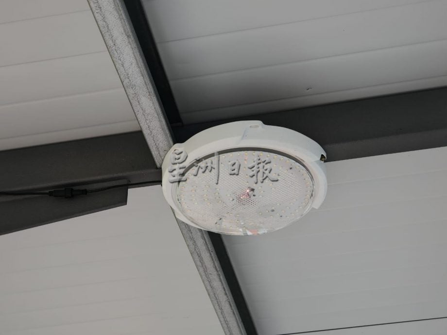 (古城第)旧摩天轮路往世遗区行人道剩篱笆及绿化,预计两个月完成