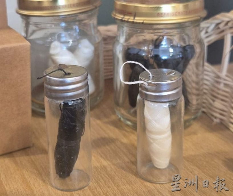 乐活/21/9见报/望达到零垃圾生活,林春兰开环保店宣导环保意识