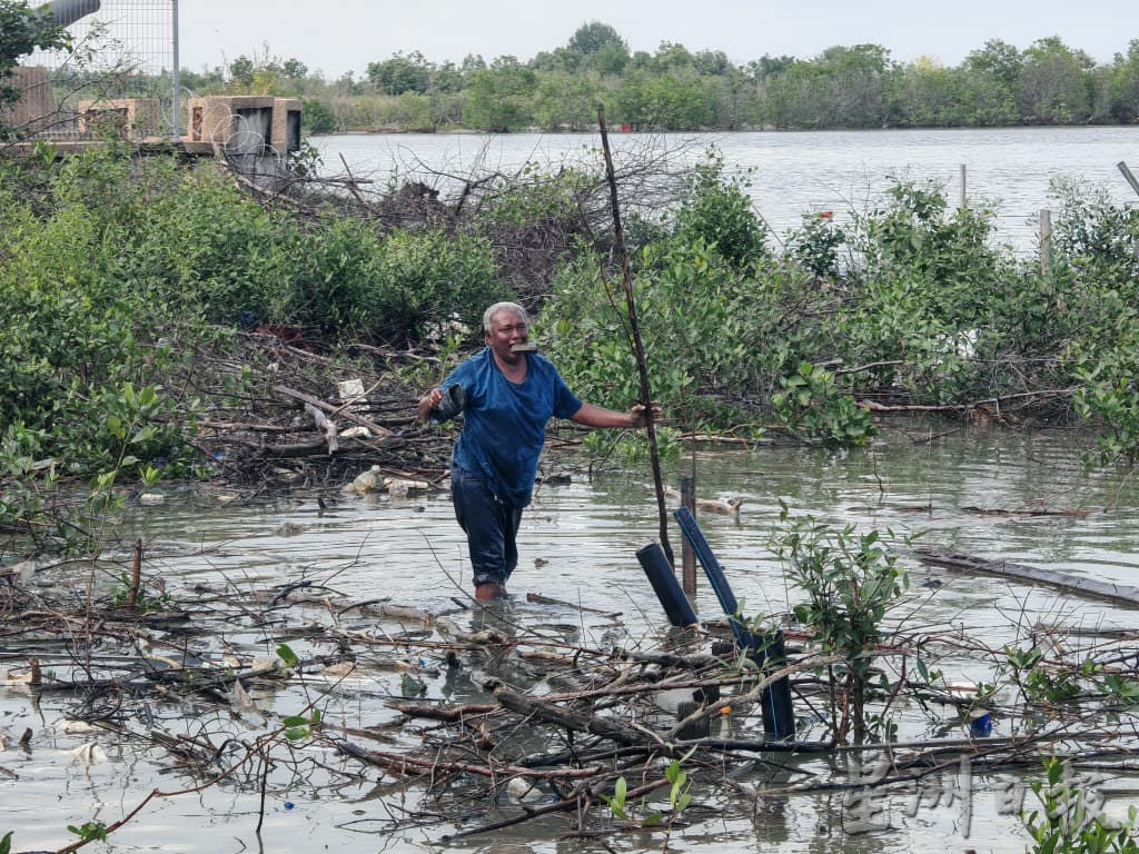 （古城第二版主文）葡萄牙村“三不管”海边垃圾问题严重，村民男女老少出动捡垃圾