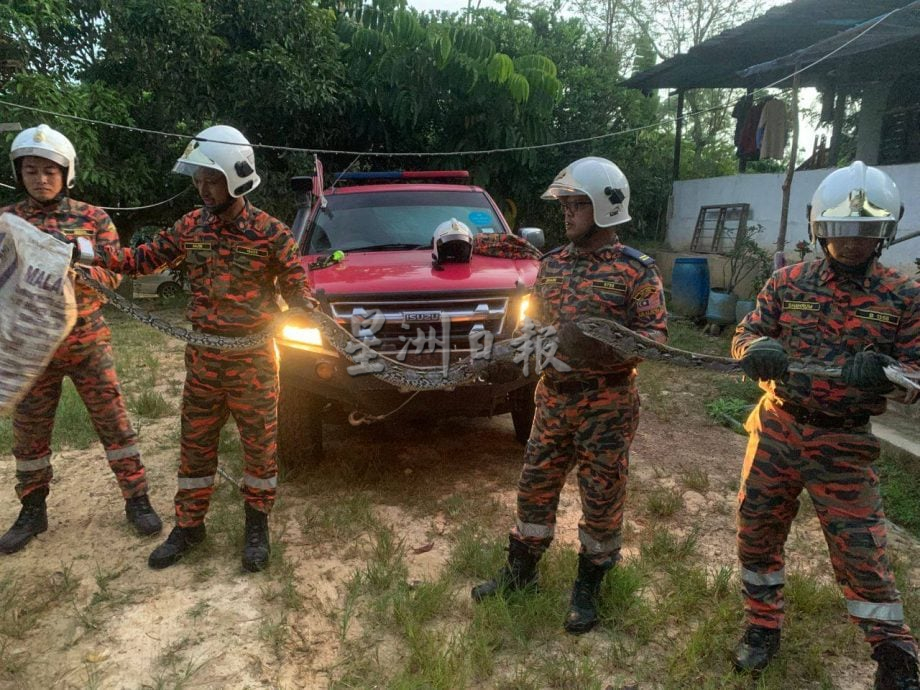 已签发（大北马）清晨鸡棚异响 村民查看吓坏 4公尺长巨蟒正吞鸡！