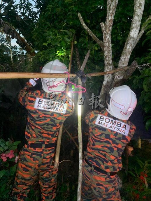 已签发（大北马）清晨鸡棚异响 村民查看吓坏 4公尺长巨蟒正吞鸡！