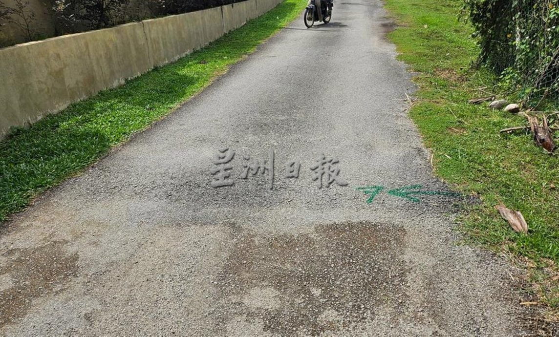 供星洲网：双溪山打英村道路提升带动土地复苏