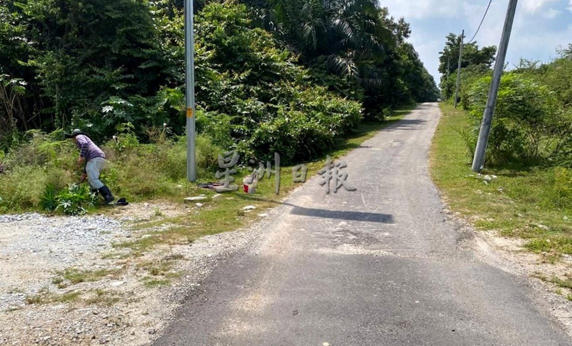 供星洲网：双溪山打英村道路提升带动土地复苏