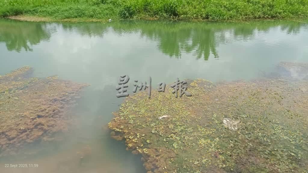 (已签发)柔:永平彼咯河污染鱼群死亡,因养殖场储藏鸡粪失当