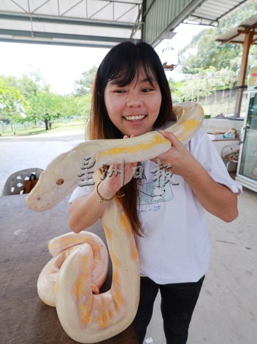 (刊期9月26日)半岛心旅行:“玩转武来岸”,一座交织历史、人情与美食的小镇