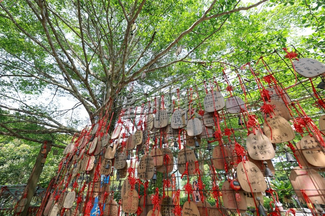 (刊期9月26日)半岛心旅行:“玩转武来岸”,一座交织历史、人情与美食的小镇