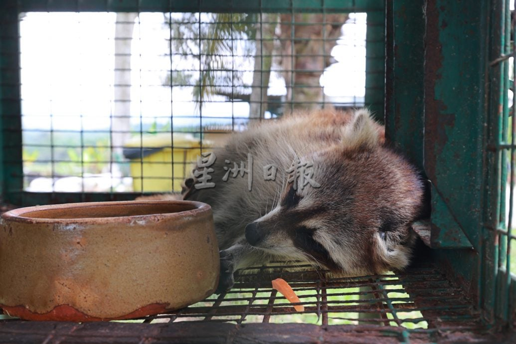 (刊期9月26日)半岛心旅行:“玩转武来岸”,一座交织历史、人情与美食的小镇