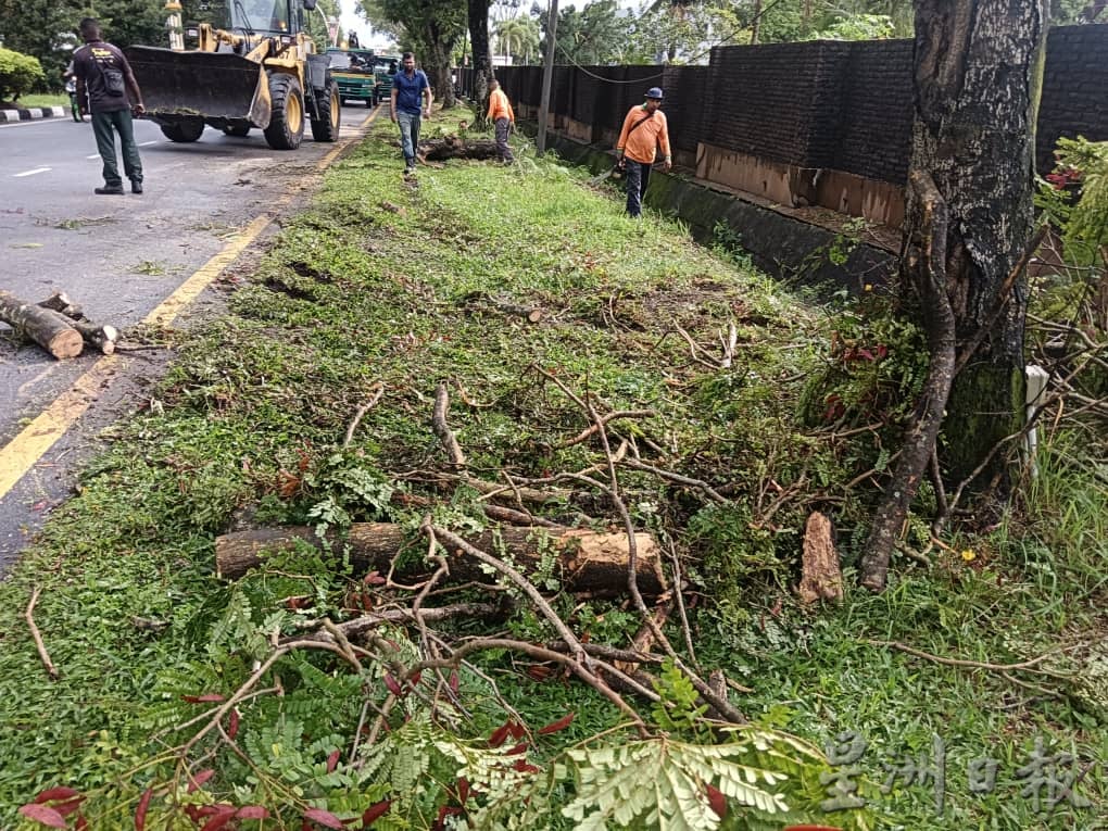 怡市午后狂风暴雨  老虎巷树倒压车