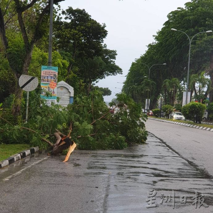 怡市午后狂风暴雨  老虎巷树倒压车