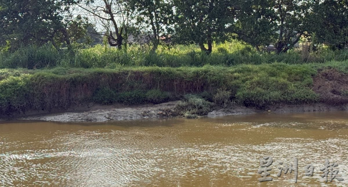 （古城封面副文）鳄鱼随机出现，小心！