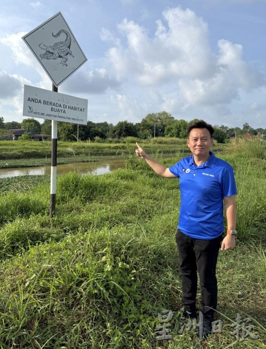 （古城封面副文）鳄鱼随机出现，小心！