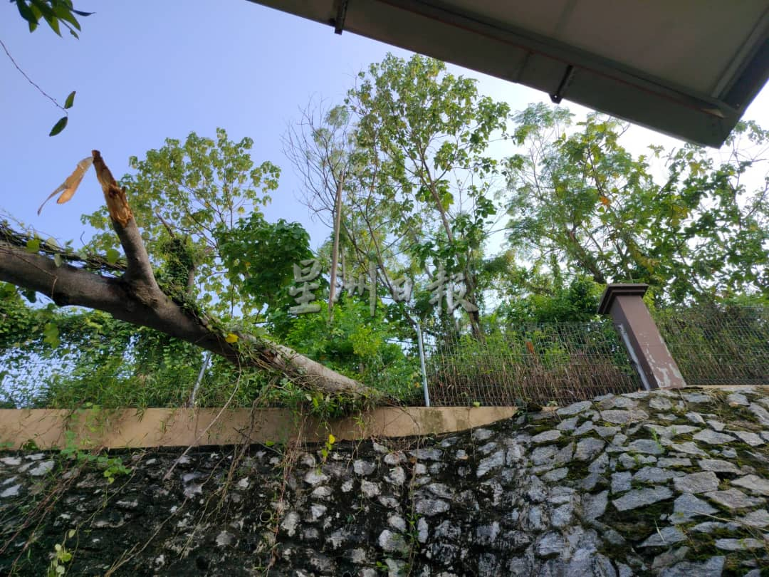 培元华小受强风侵袭 树倒压坏2教室屋檐