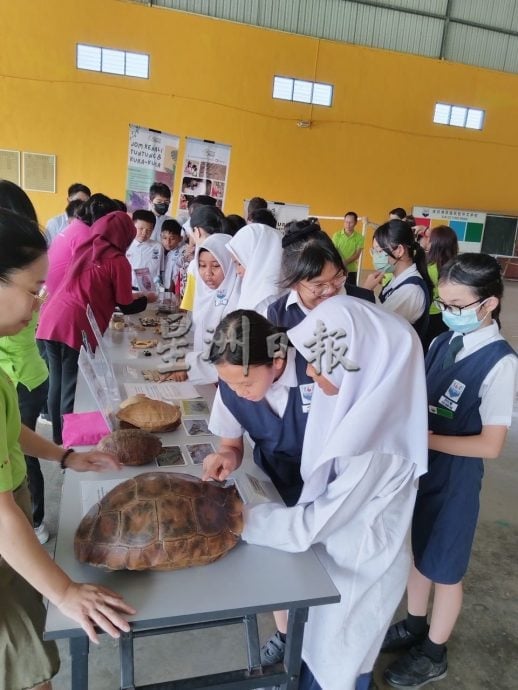 东：（已签发）海龟保育生态教育活动 育贤华小70学生认识海龟