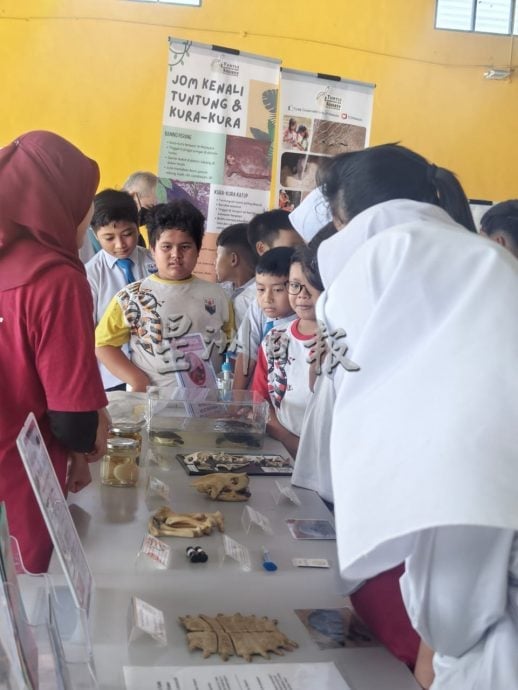 东：（已签发）海龟保育生态教育活动 育贤华小70学生认识海龟