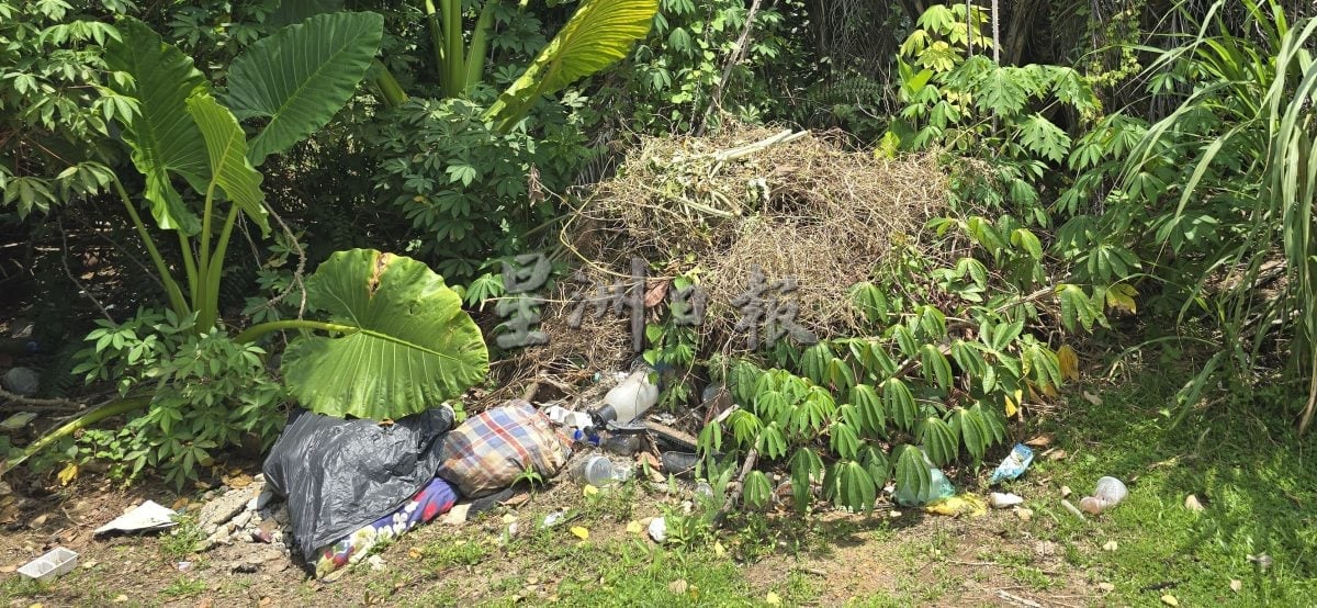 (古城第二版主文)荒屋引黑蛇出没 吓坏邻居