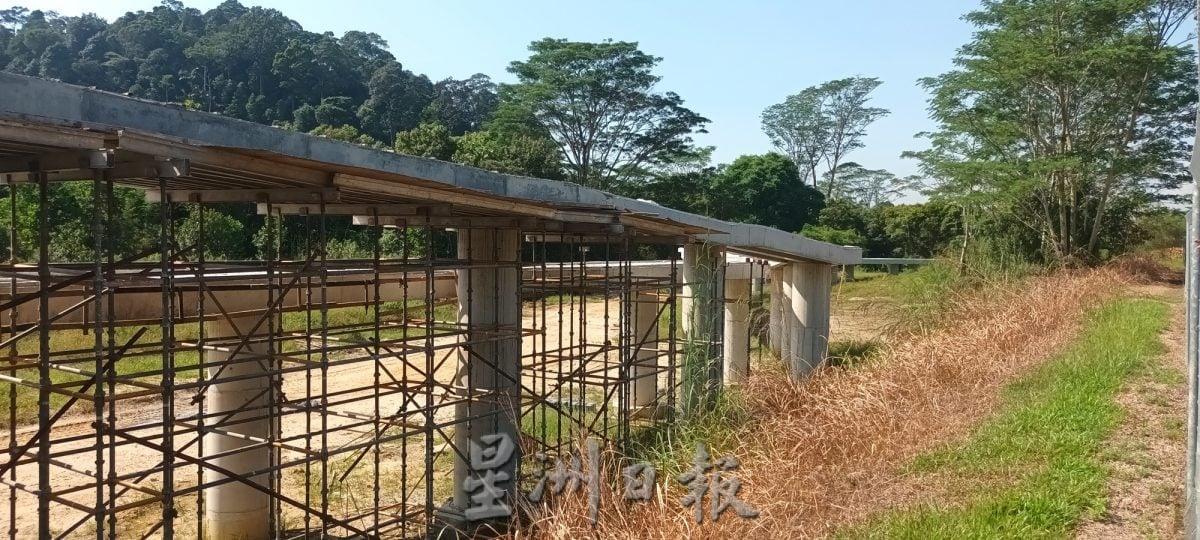 （已签发）柔：封面特稿：柔野象庇护中心   有望明年第3季开放参观