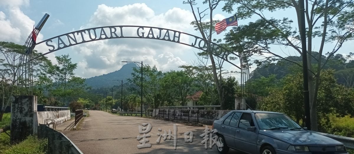 （已签发）柔：封面特稿：柔野象庇护中心   有望明年第3季开放参观