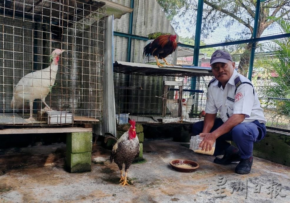 东:(已签发)玻璃口华小打造独特打卡美景校园