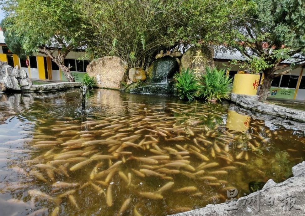 东:(已签发)玻璃口华小打造独特打卡美景校园