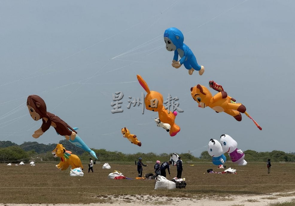 来看风筝飞飞飞·甲国际风筝节梦幻登场