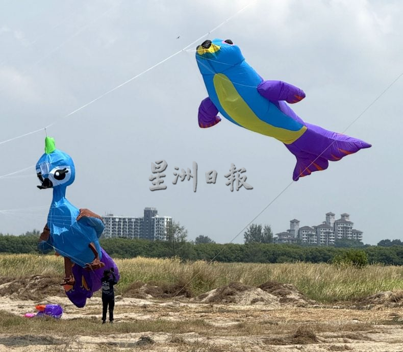 来看风筝飞飞飞·甲国际风筝节梦幻登场