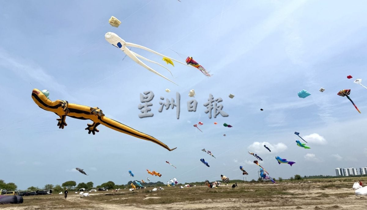 来看风筝飞飞飞·甲国际风筝节梦幻登场