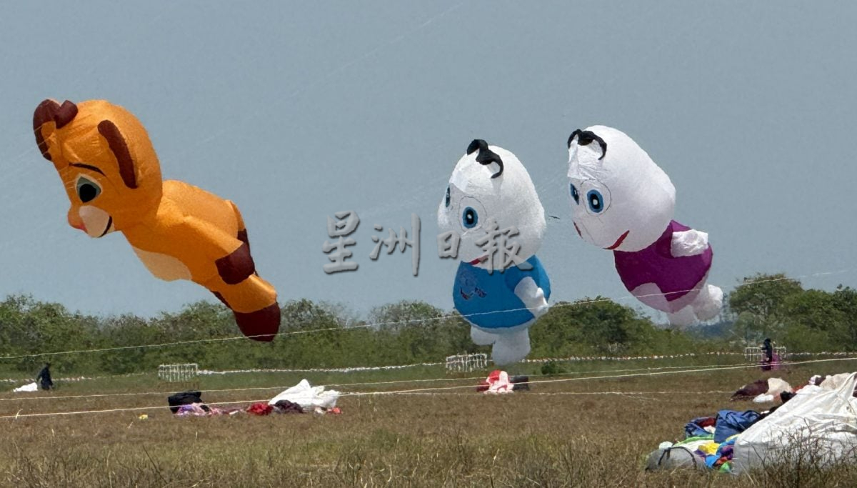 来看风筝飞飞飞·甲国际风筝节梦幻登场