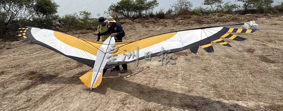 来看风筝飞飞飞·甲国际风筝节梦幻登场